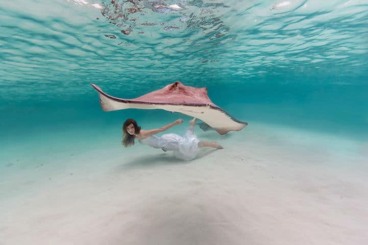 underwater-photography04