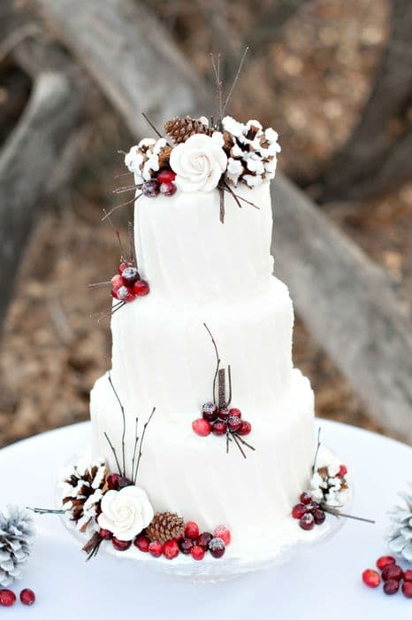 winter-cake-wedding32