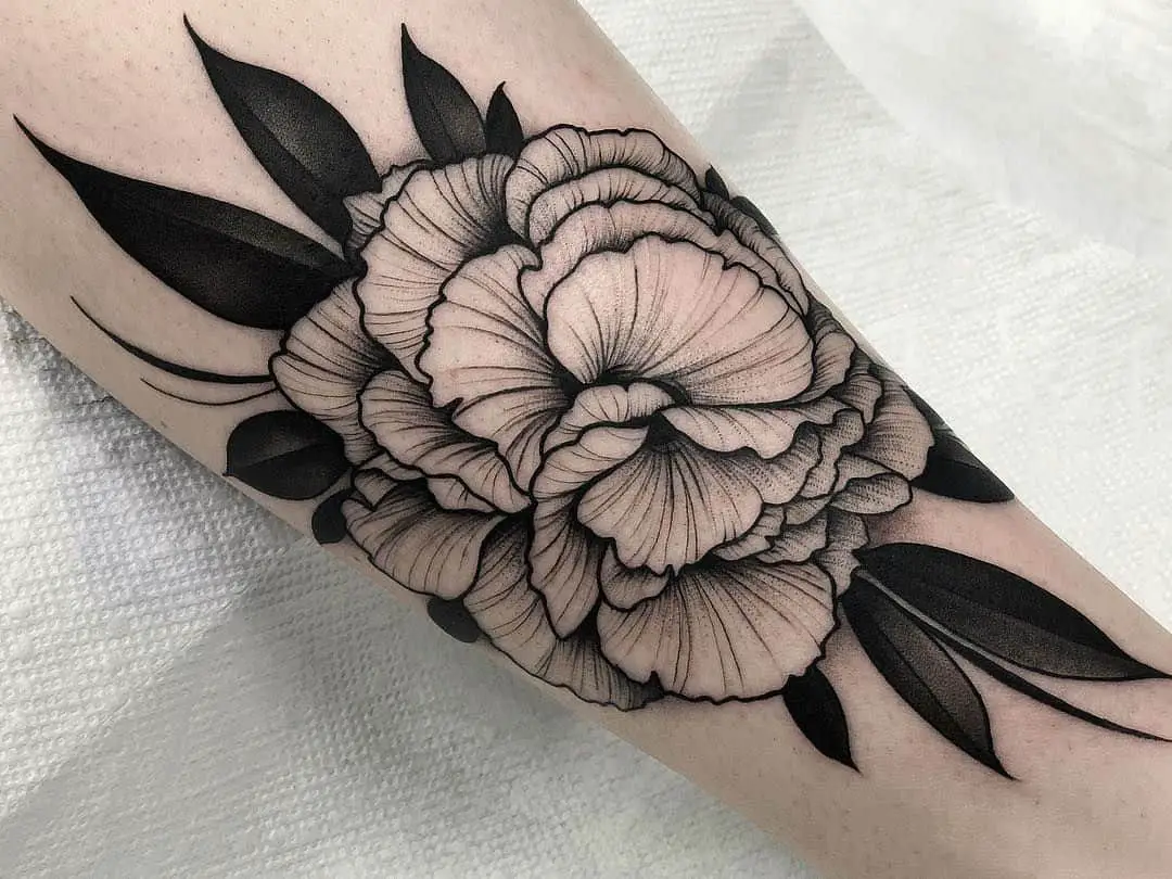 46 Attractive Carnation Flower Tattoos