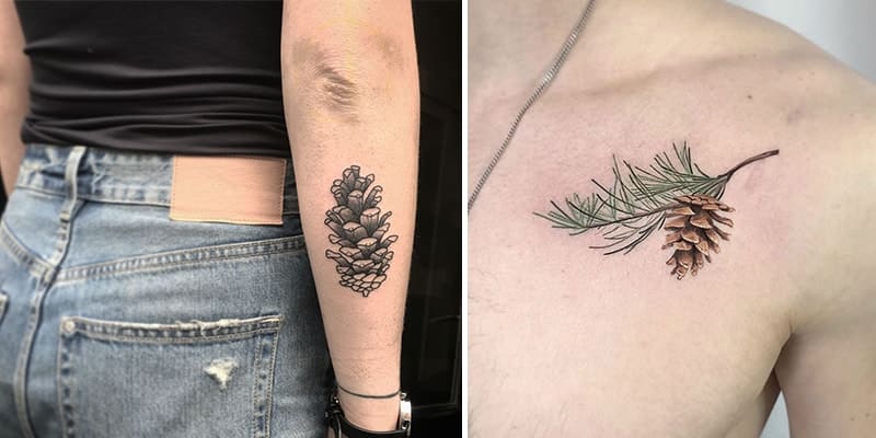 30 Pine Cone Tattoo Designs To Celebrate Beauty of Nature  TattooAdore