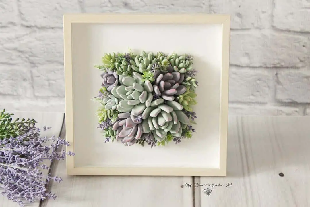 24 Outstanding Ideas for Decorating Your House with Succulents