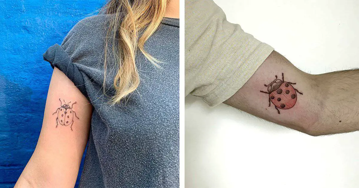 Ladybug Tattoo Designs That Inspire And Bring Fortune 50 Ideas