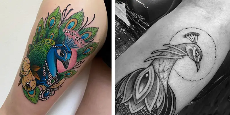Being Animal Tattoos  peacock tattoo design The peacock can symbolize  royalty vitality nobility and especially sexuality The bigger and more  colorful the tattoo design the more importance can be placed on