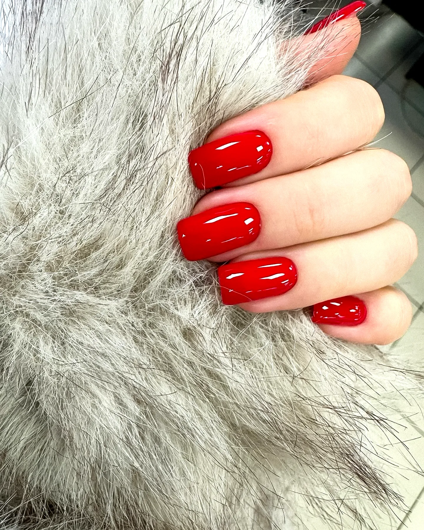 Stunning Square Red Nails with Glossy Finish for Elegant Style